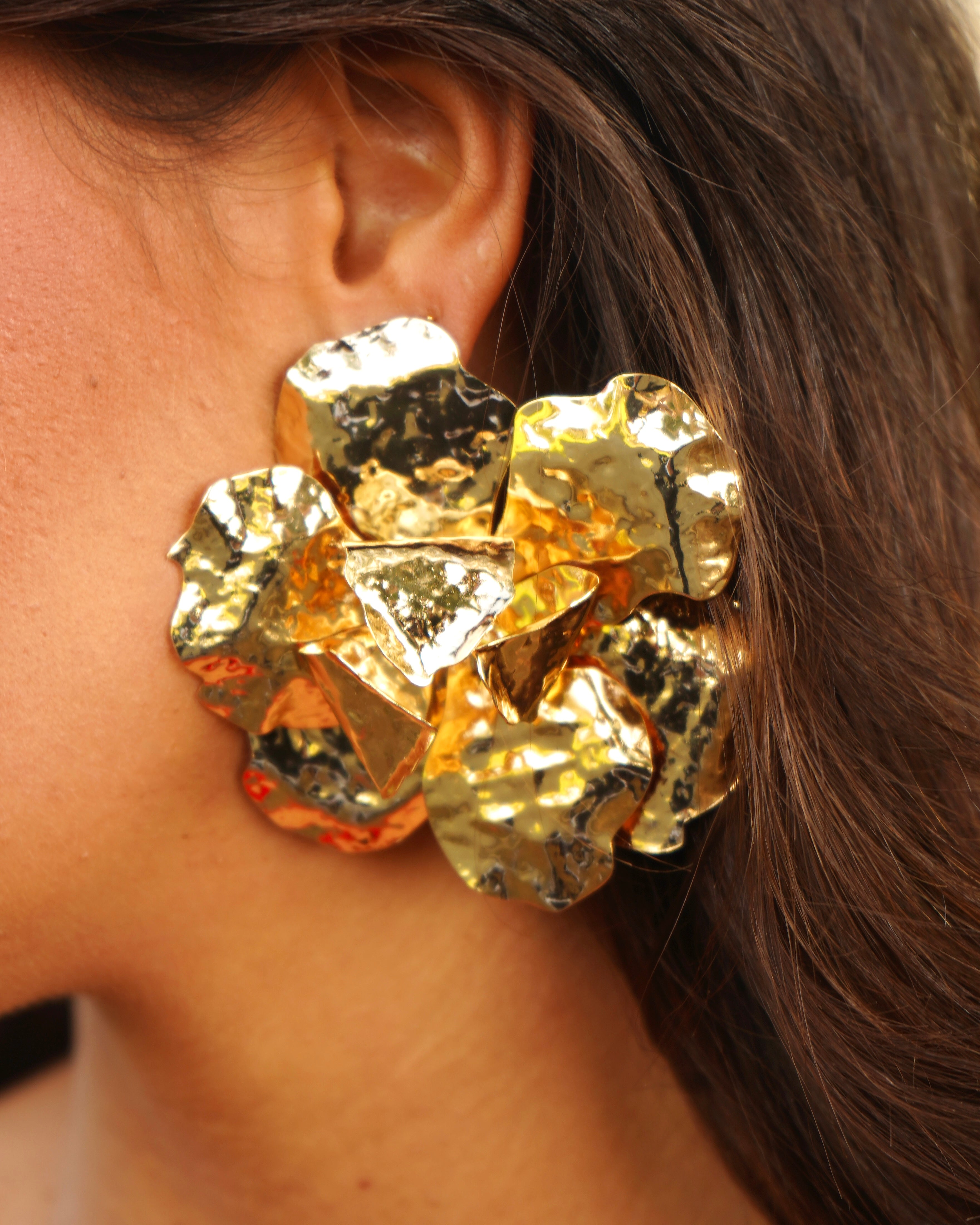 Pendientes Camila